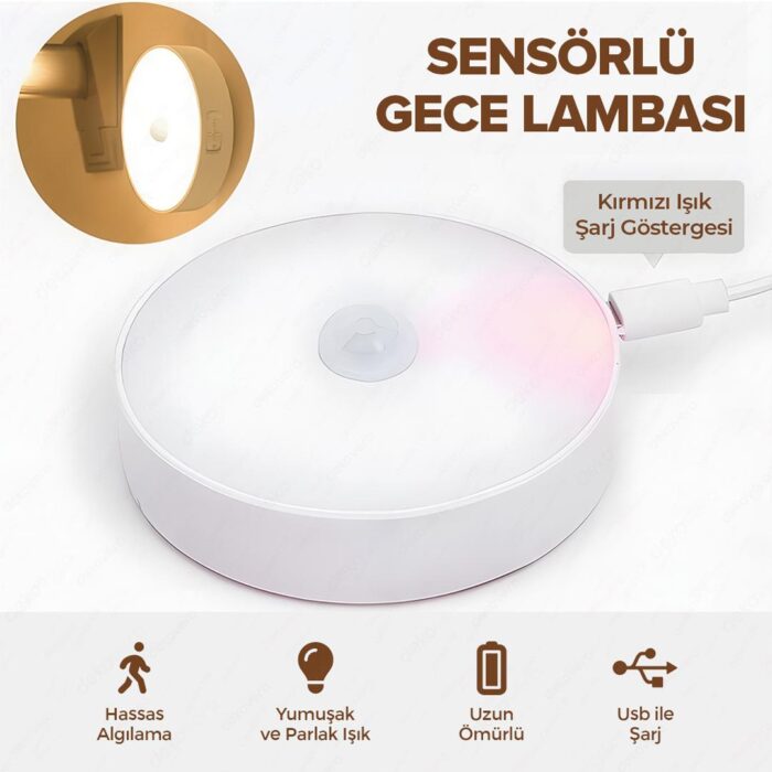 DGL1012 01