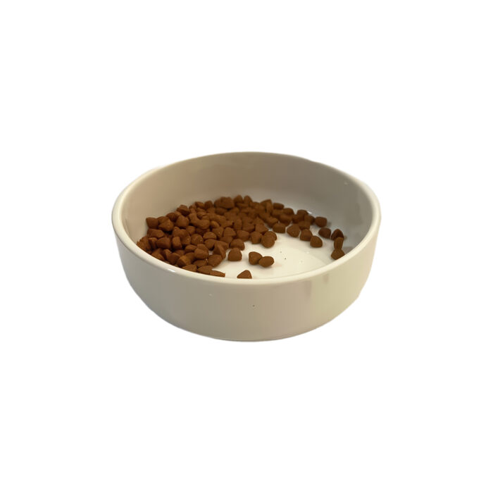 DKT1001 02